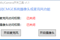 Windows 10神州网信政府版麦克风/摄像头开关工具